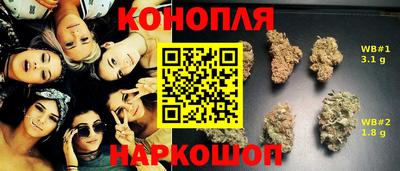 гидропоника Гусиноозёрск