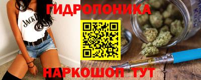 эйфоретик Гусь-Хрустальный