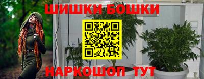 гидропоника Гусиноозёрск